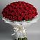 Букет 101 Красная роза Блэк Мэджик в Высоком