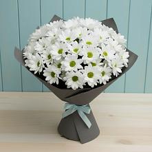 Букет цветов из:  Хризантемы #REPLACE_PRED# Высоком