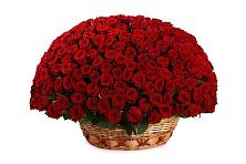 Премиум букет из: Розы #REPLACE_PRED# Высоком